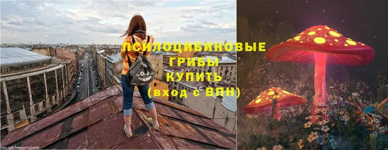 Галлюциногенные грибы Psilocybe  OMG вход  Всеволожск 